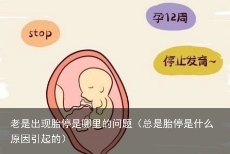 老是出现胎停是哪里的问题（总是胎停是什么原因引起的）
