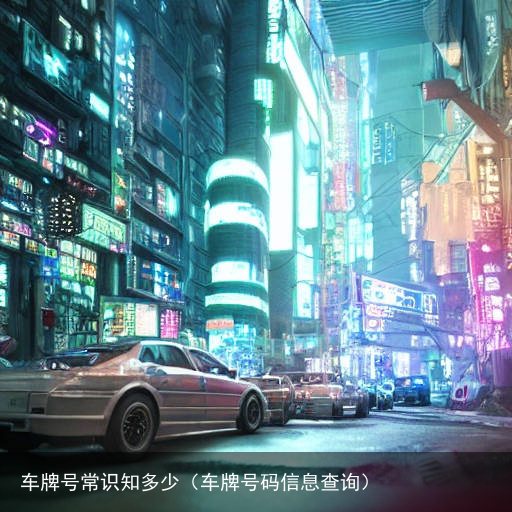 车牌号常识知多少（车牌号码信息查询）