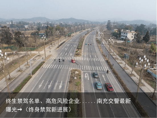 终生禁驾名单、高危风险企业......南充交警最新曝光→（终身禁驾新进展）