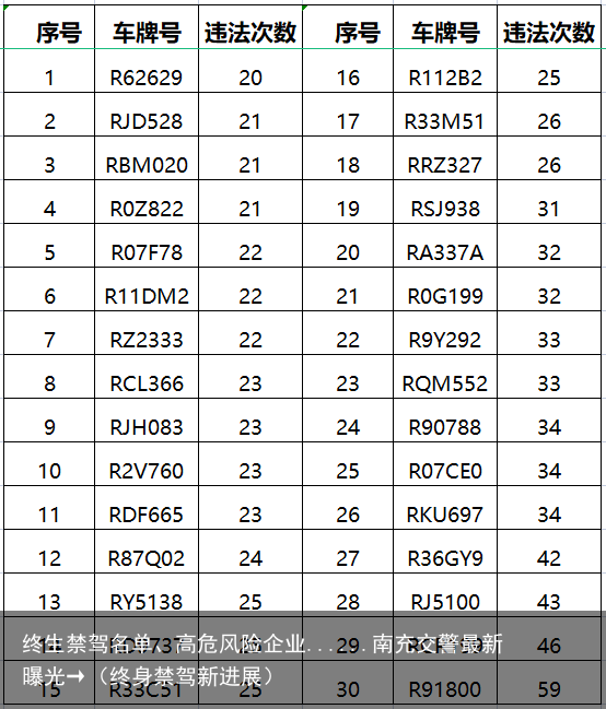 终生禁驾名单、高危风险企业......南充交警最新曝光→（终身禁驾新进展）