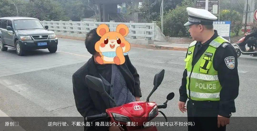 原创            逆向行驶、不戴头盔！隆昌这5个人，遭起！（逆向行驶可以不扣分吗）