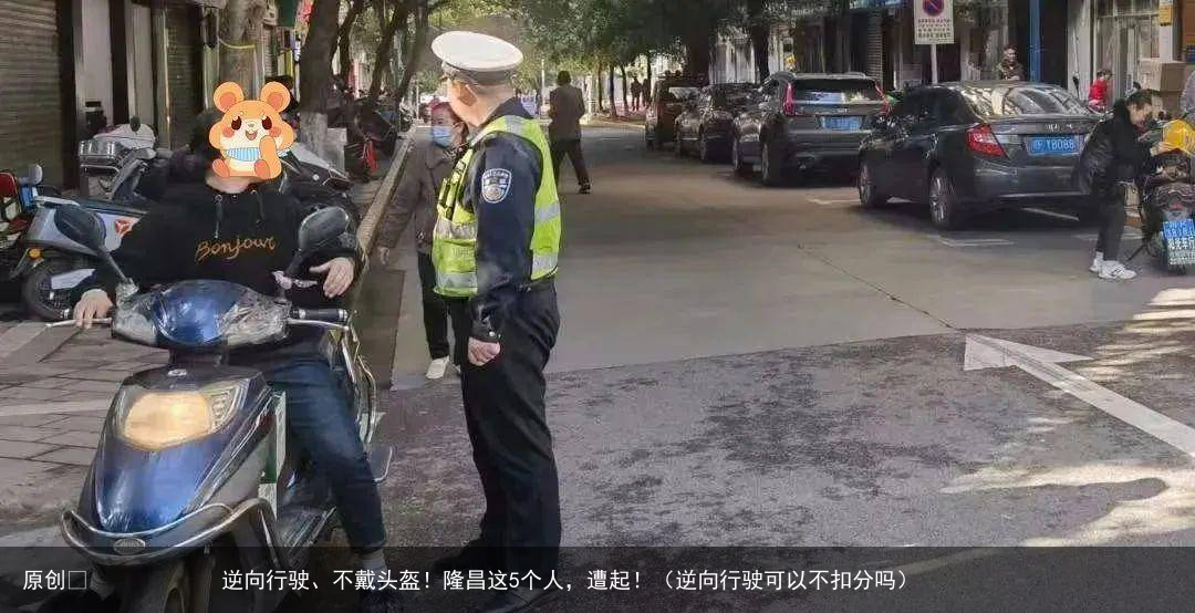原创            逆向行驶、不戴头盔！隆昌这5个人，遭起！（逆向行驶可以不扣分吗）