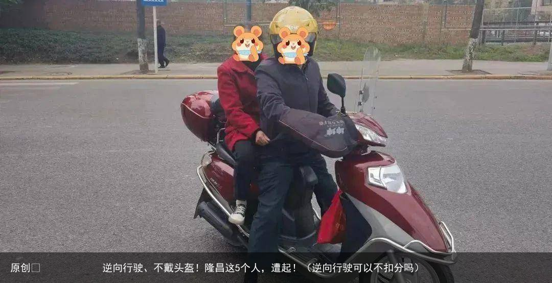 原创            逆向行驶、不戴头盔！隆昌这5个人，遭起！（逆向行驶可以不扣分吗）