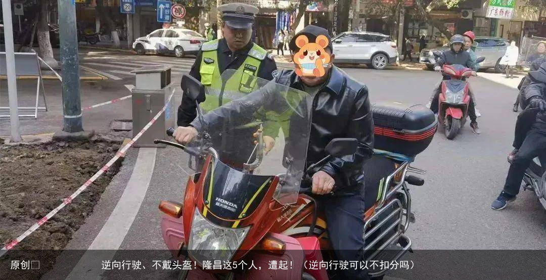 原创            逆向行驶、不戴头盔！隆昌这5个人，遭起！（逆向行驶可以不扣分吗）