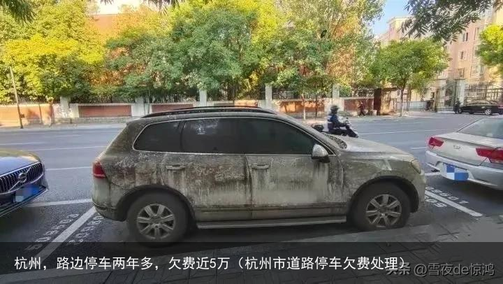 杭州，路边停车两年多，欠费近5万（杭州市道路停车欠费处理）