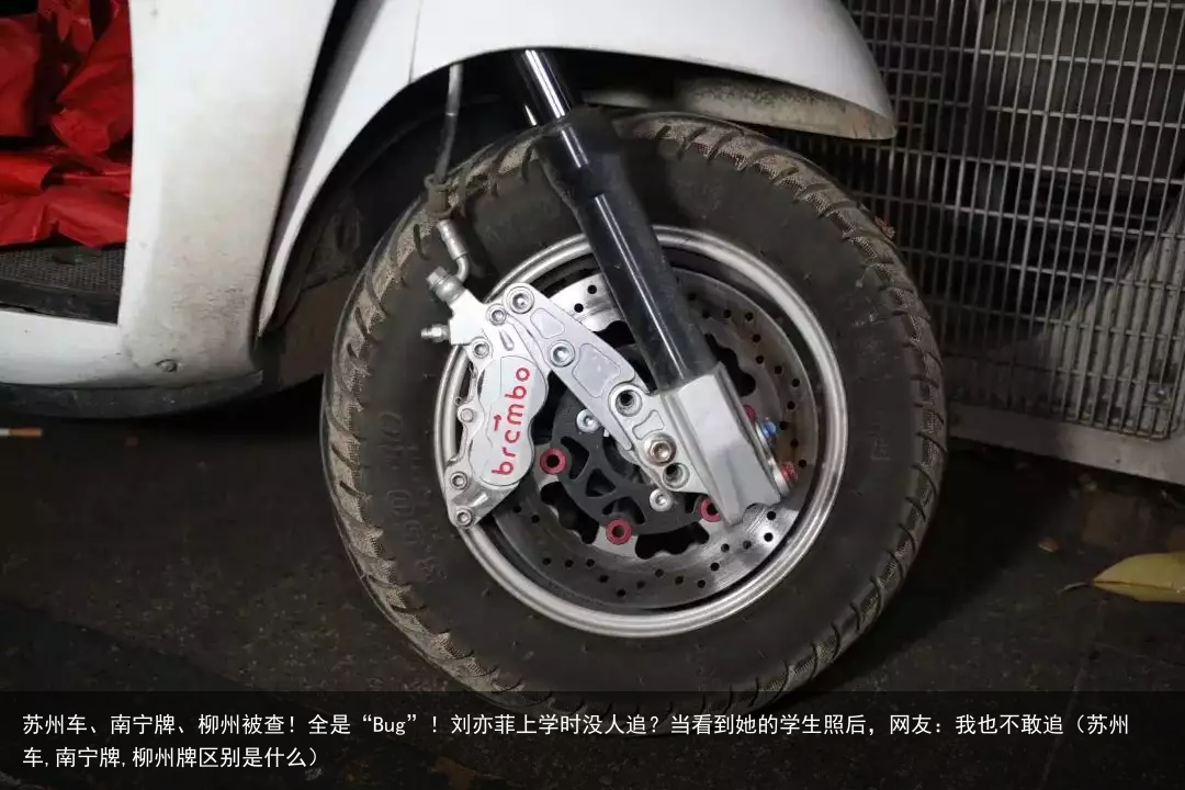 苏州车、南宁牌、柳州被查！全是“Bug”！（苏州车,南宁牌,柳州牌区别是什么）