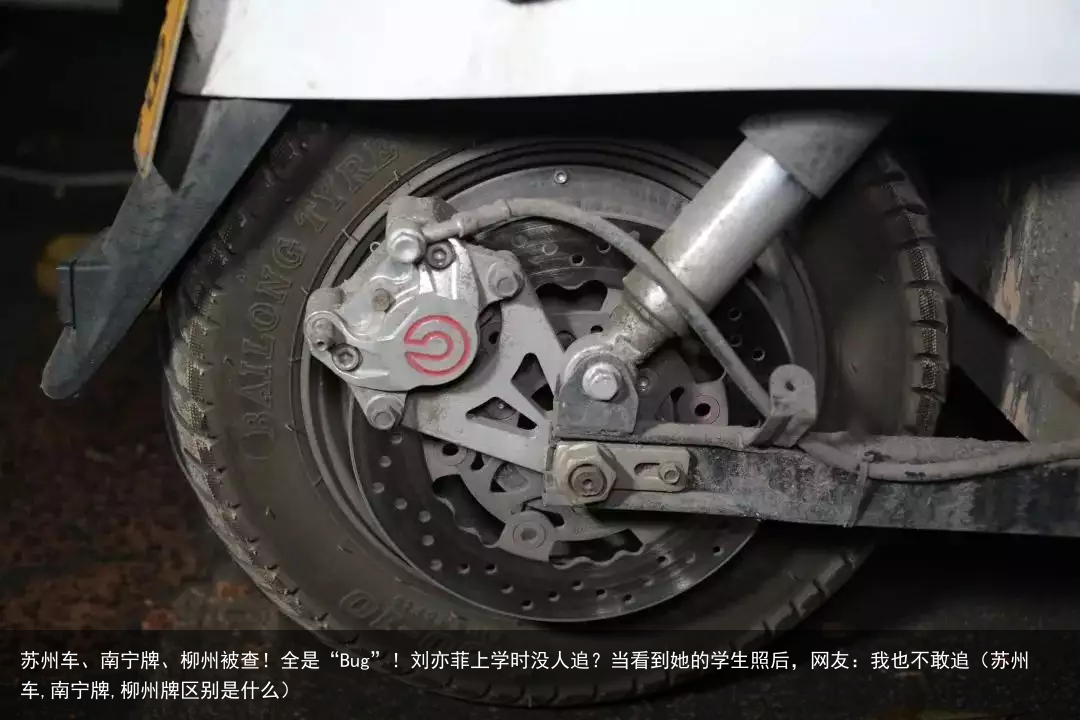 苏州车、南宁牌、柳州被查！全是“Bug”！（苏州车,南宁牌,柳州牌区别是什么）