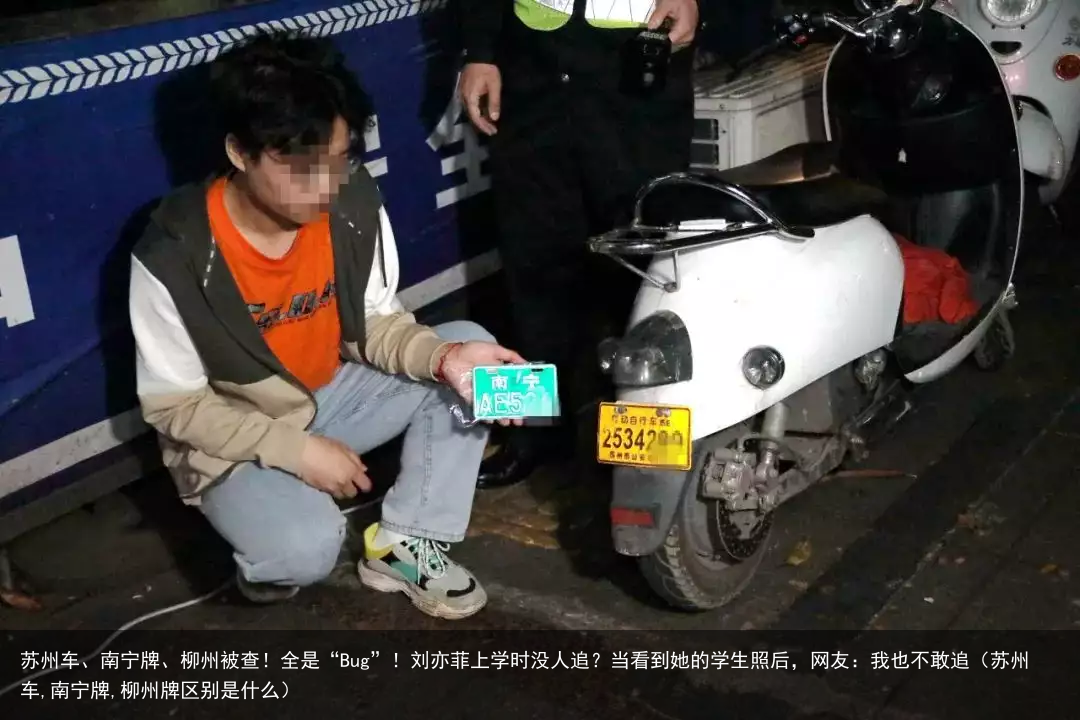 苏州车、南宁牌、柳州被查！全是“Bug”！（苏州车,南宁牌,柳州牌区别是什么）