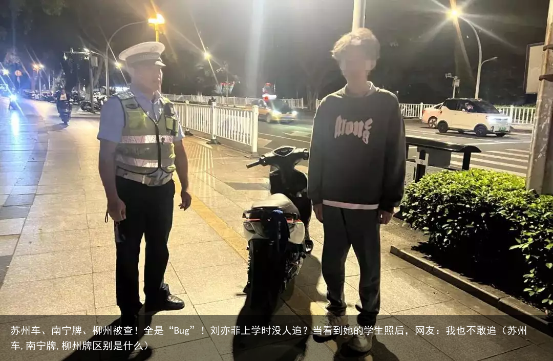 苏州车、南宁牌、柳州被查！全是“Bug”！（苏州车,南宁牌,柳州牌区别是什么）