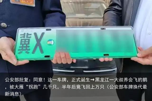 公安部批复：同意！这一车牌，正式诞生（公安部车牌换代最新消息）