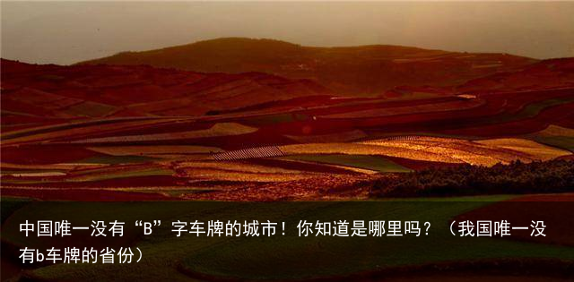中国唯一没有“B”字车牌的城市！你知道是哪里吗？（我国唯一没有b车牌的省份）