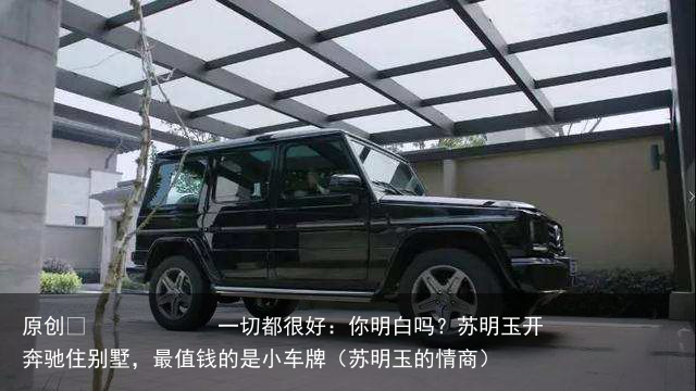原创            一切都很好：你明白吗？苏明玉开奔驰住别墅，最值钱的是小车牌（苏明玉的情商）