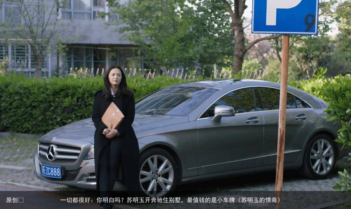 原创            一切都很好：你明白吗？苏明玉开奔驰住别墅，最值钱的是小车牌（苏明玉的情商）
