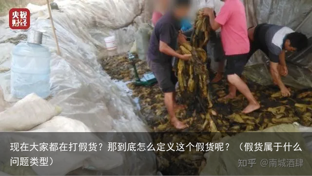 现在大家都在打假货？那到底怎么定义这个假货呢？（假货属于什么问题类型）