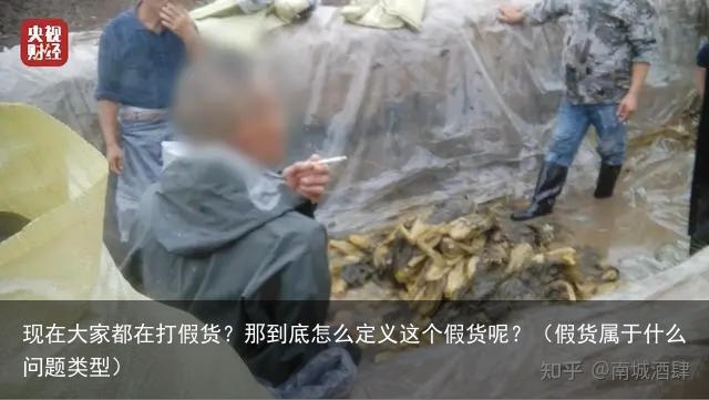 现在大家都在打假货？那到底怎么定义这个假货呢？（假货属于什么问题类型）