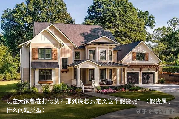 现在大家都在打假货？那到底怎么定义这个假货呢？（假货属于什么问题类型）