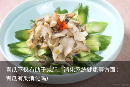 青瓜不仅有助于减肥，消化系统健康等方面(青瓜有助消化吗)