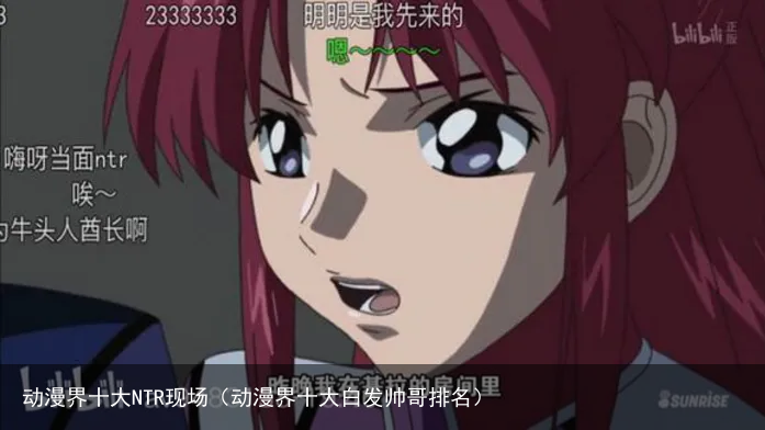动漫界十大NTR现场（动漫界十大白发帅哥排名）
