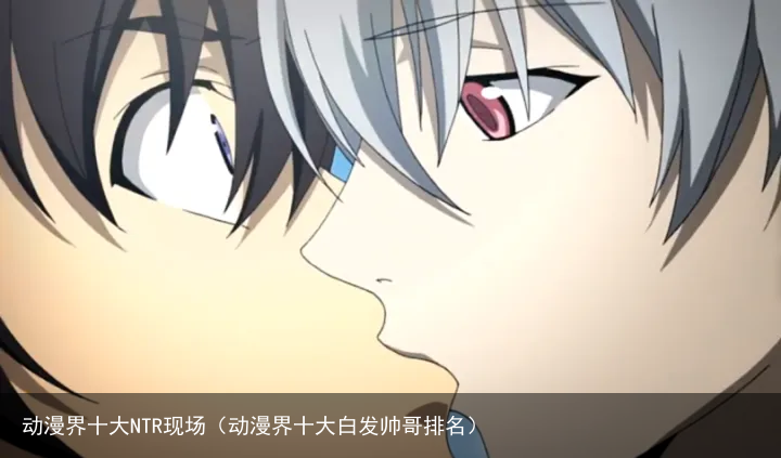 动漫界十大NTR现场（动漫界十大白发帅哥排名）