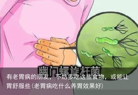 有老胃病的朋友，不妨多吃这些食物，或能让胃舒服些(老胃病吃什么养胃效果好)