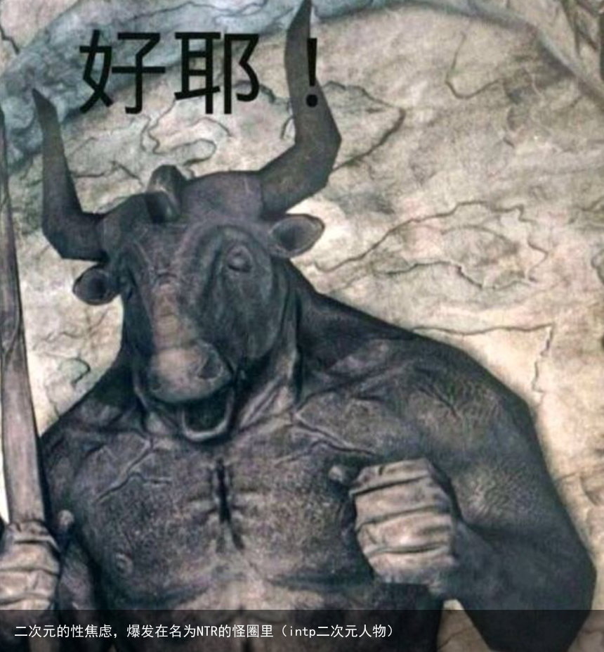 二次元的性焦虑，爆发在名为NTR的怪圈里（intp二次元人物）