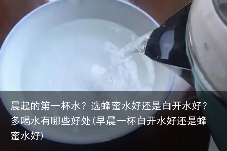 晨起的第一杯水？选蜂蜜水好还是白开水好？多喝水有哪些好处(早晨一杯白开水好还是蜂蜜水好)