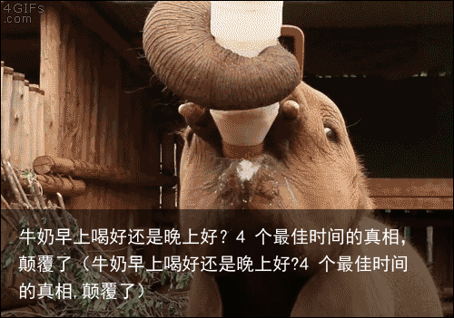 牛奶早上喝好还是晚上好？4 个最佳时间的真相，颠覆了（牛奶早上喝好还是晚上好?4 个最佳时间的真相,颠覆了）