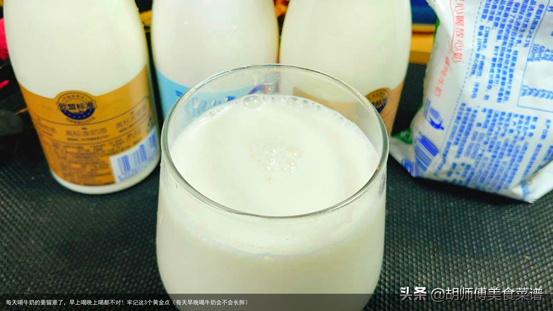 每天喝牛奶的要留意了，早上喝晚上喝都不对！牢记这3个黄金点（每天早晚喝牛奶会不会长胖）