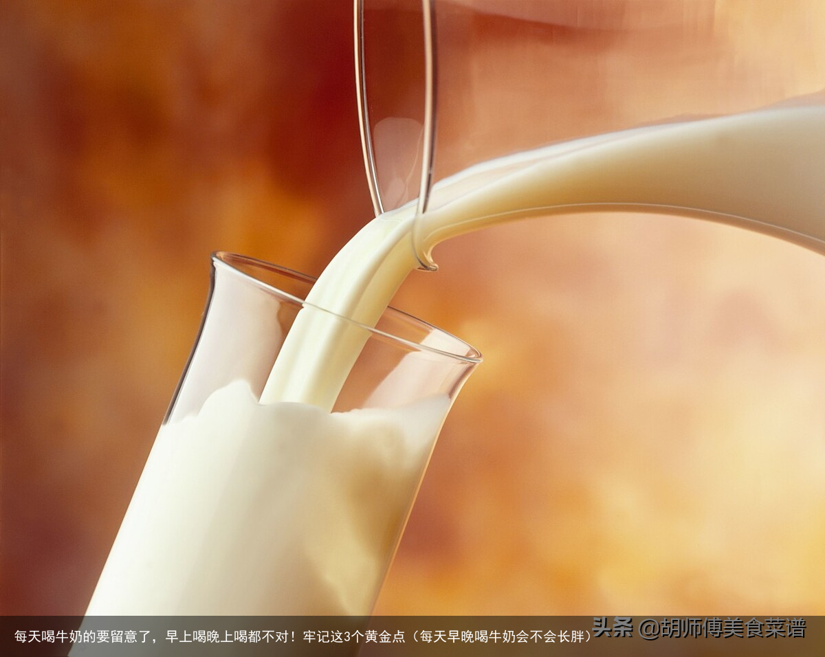 每天喝牛奶的要留意了，早上喝晚上喝都不对！牢记这3个黄金点（每天早晚喝牛奶会不会长胖）