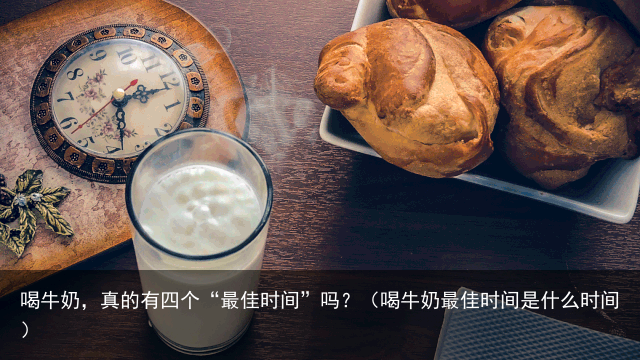 喝牛奶，真的有四个“最佳时间”吗？（喝牛奶最佳时间是什么时间）