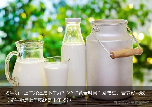 喝牛奶，上午好还是下午好？3个“黄金时间”别错过，营养好吸收（喝牛奶是上午喝还是下午喝?）