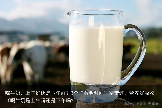 喝牛奶，上午好还是下午好？3个“黄金时间”别错过，营养好吸收（喝牛奶是上午喝还是下午喝?）