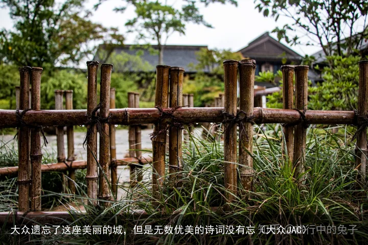 大众遗忘了这座美丽的城，但是无数优美的诗词没有忘（大众JAC）