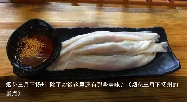 烟花三月下扬州 除了炒饭这里还有哪些美味？（烟花三月下扬州的景点）