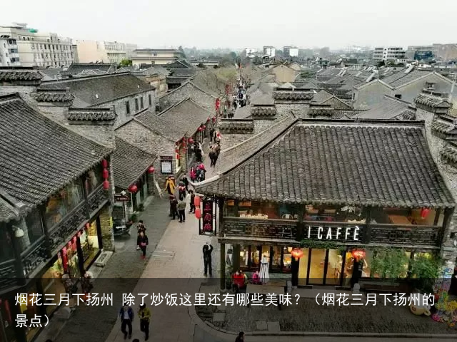 烟花三月下扬州 除了炒饭这里还有哪些美味？（烟花三月下扬州的景点）