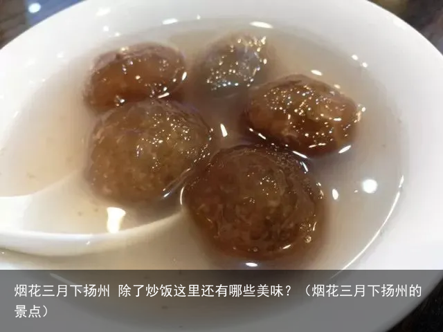 烟花三月下扬州 除了炒饭这里还有哪些美味？（烟花三月下扬州的景点）