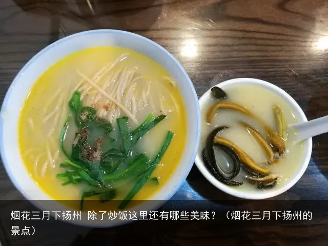 烟花三月下扬州 除了炒饭这里还有哪些美味？（烟花三月下扬州的景点）