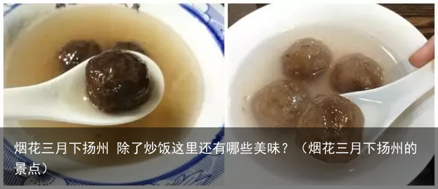 烟花三月下扬州 除了炒饭这里还有哪些美味？（烟花三月下扬州的景点）