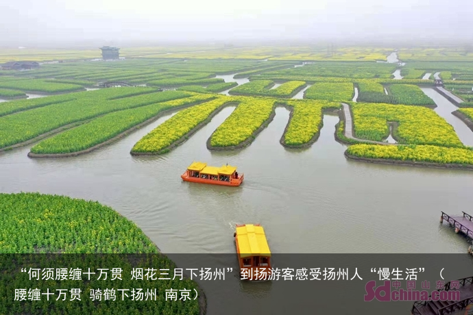 “何须腰缠十万贯 烟花三月下扬州”到扬游客感受扬州人“慢生活”（腰缠十万贯 骑鹤下扬州 南京）