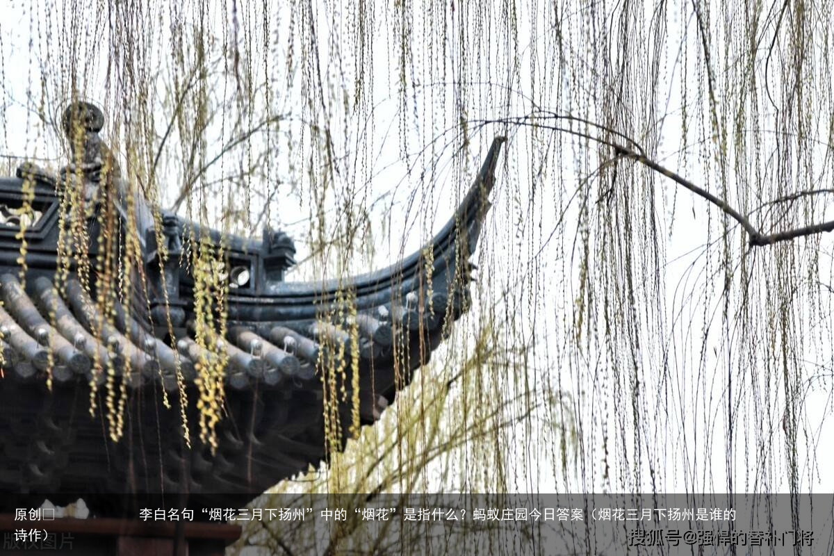 李白名句“烟花三月下扬州”中的“烟花”是指什么？蚂蚁庄园今日答案（烟花三月下扬州是谁的诗作）