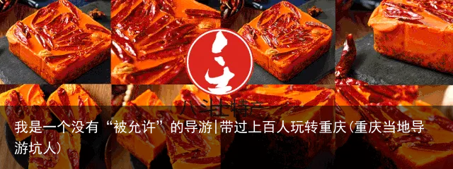 我是一个没有“被允许”的导游|带过上百人玩转重庆(重庆当地导游坑人)