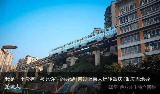 我是一个没有“被允许”的导游|带过上百人玩转重庆(重庆当地导游坑人)