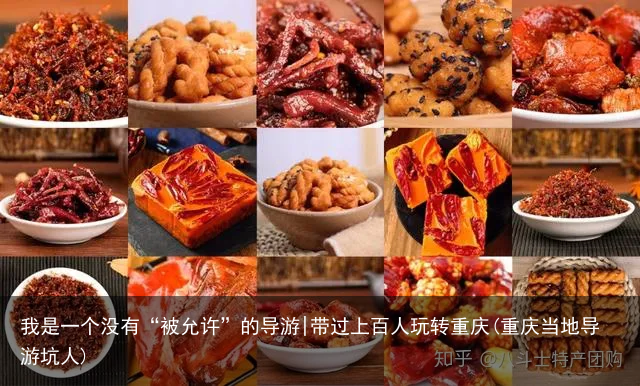 我是一个没有“被允许”的导游|带过上百人玩转重庆(重庆当地导游坑人)