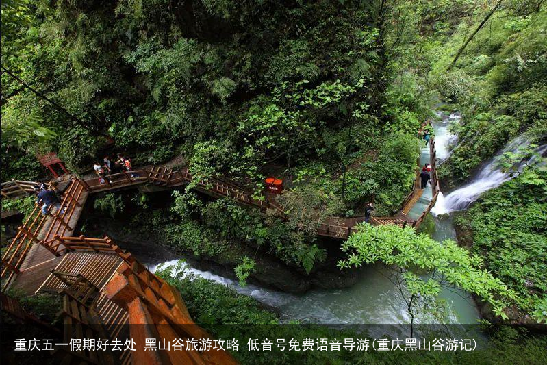 重庆五一假期好去处 黑山谷旅游攻略 低音号免费语音导游(重庆黑山谷游记)
