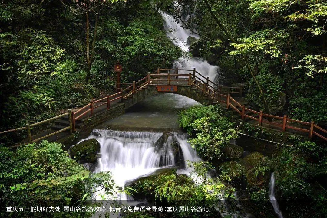 重庆五一假期好去处 黑山谷旅游攻略 低音号免费语音导游(重庆黑山谷游记)
