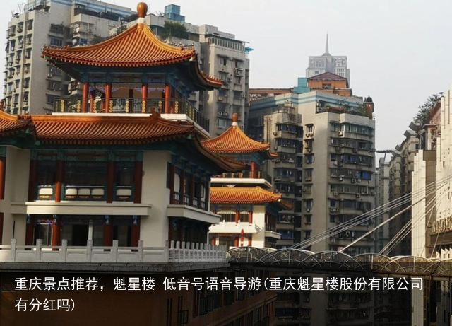 重庆景点推荐，魁星楼 低音号语音导游(重庆魁星楼股份有限公司有分红吗)