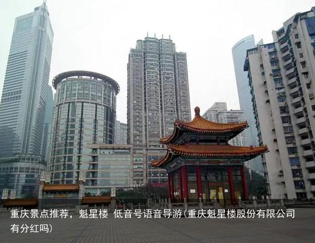 重庆景点推荐，魁星楼 低音号语音导游(重庆魁星楼股份有限公司有分红吗)