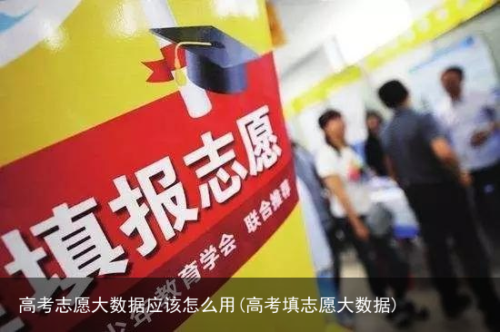 高考志愿大数据应该怎么用(高考填志愿大数据)