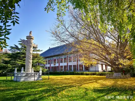 大数据！清华、北大在京沪录取率情况分析，澄清网络传闻还要理性(北大清华对北京学生的录取线是多少)