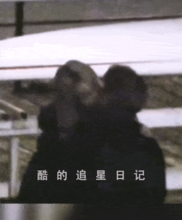 秦岚的新恋情，还能爽多久？(秦岚谈过几段恋情)